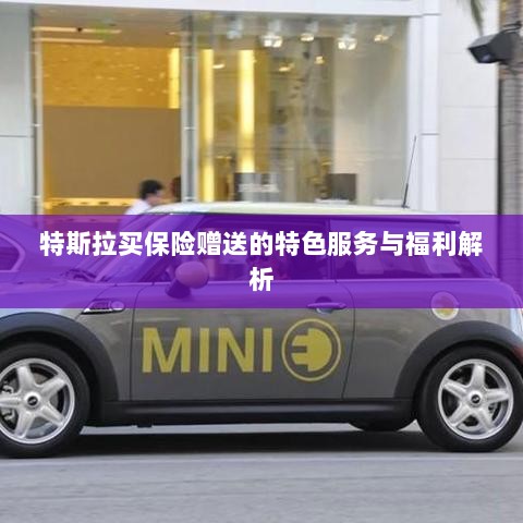特斯拉保险赠品特色服务与福利深度解析-图1