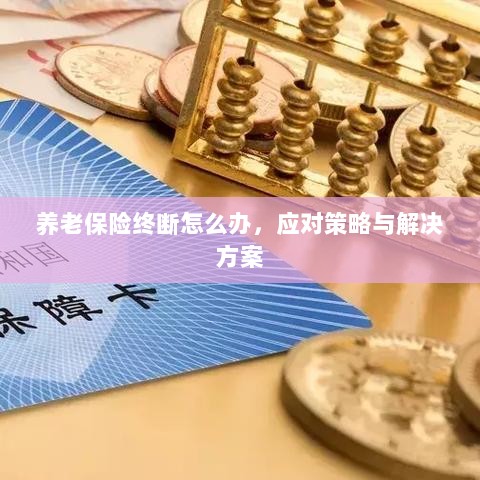 养老保险中断应对指南，解决方案与策略-图1