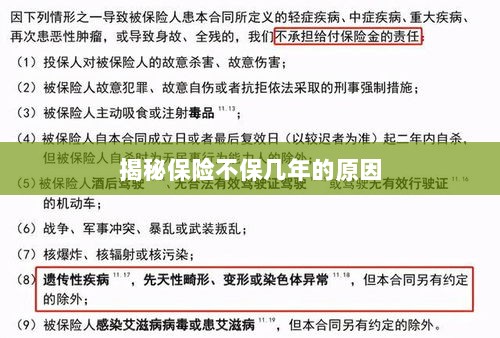 揭秘保险不保多年的原因解析-图1