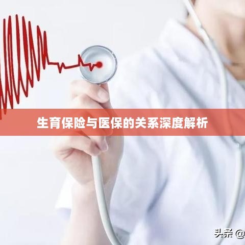 生育保险与医保关系的深度探讨-图1