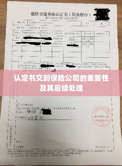 认定书交到保险公司的重要性及后续处理流程详解-图1