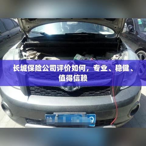 长城保险公司评价，专业、稳健、值得信赖的保险选择-图1