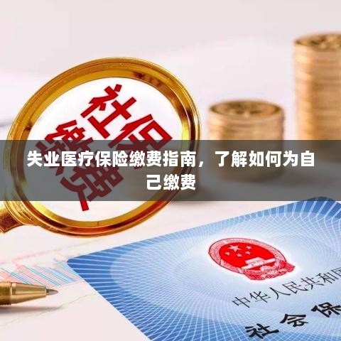失业医疗保险缴费详解，如何为自己缴费的指南-图1