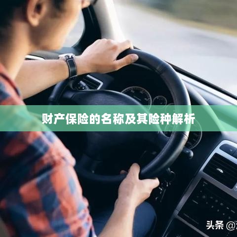 财产保险名称及险种深度解析-图1 财产保险名称及险种深度解析-图1