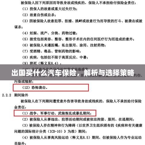 出国购车保险指南,解析与选择策略-图1 出国购车保险指南,解析与选择策略-图1
