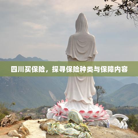 四川保险探秘，种类与保障内容全解析-图1