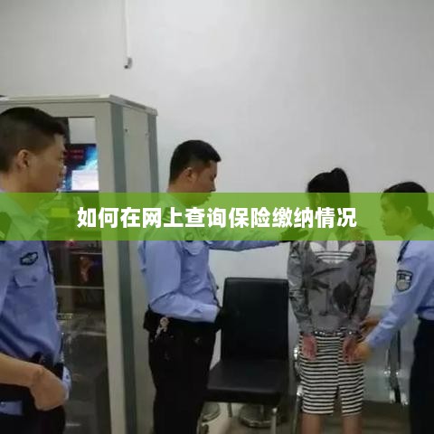 网上查询保险缴纳情况攻略-图1