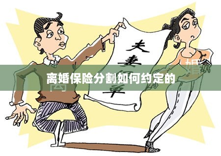 离婚保险分割约定详解-图1