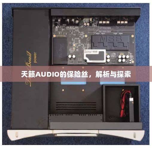 天籁AUDIO保险丝解析与探索-图1