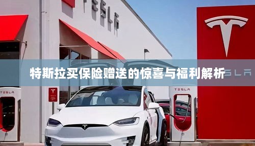 特斯拉保险赠品福利大解析，惊喜与优惠一网打尽！-图1
