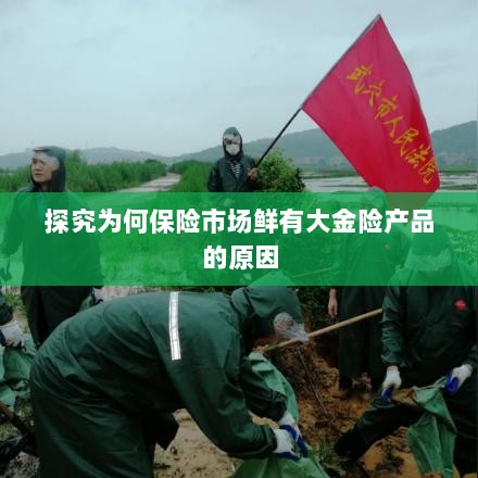 大金险产品稀缺,探究保险市场的现状与原因-图1 大金险产品稀缺,探究保险市场的现状与原因-图1