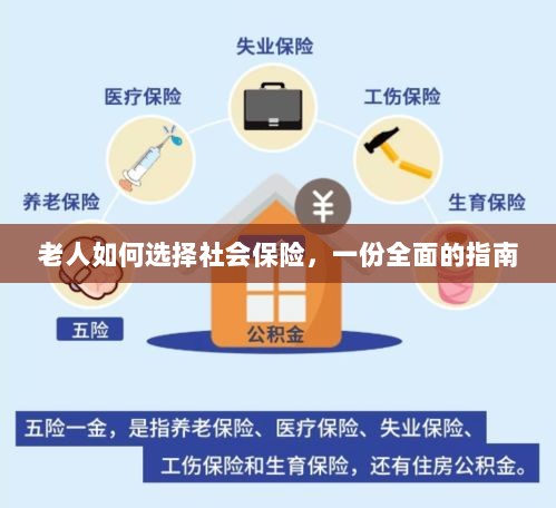老年人社会保险选择指南,全面解析如何选购保障自身权益的保险方案-图1 老年人社会保险选择指南,全面解析如何选购保障自身权益的保险方案-图1