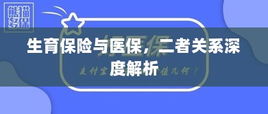 生育保险与医保的关系深度探讨与解析-图1