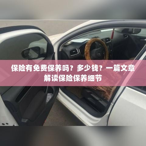 解读保险保养细节，免费保养政策与费用解析-图1