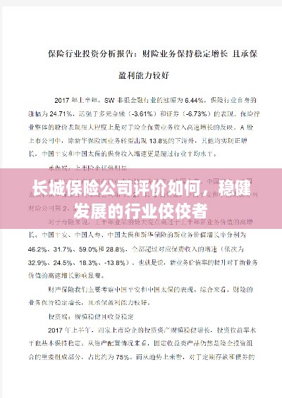 长城保险公司评价积极,行业稳健发展的佼佼者-图1 长城保险公司评价积极,行业稳健发展的佼佼者-图1