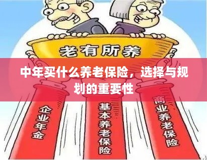 中年养老保险的选择与规划，关键性与策略探讨-图1