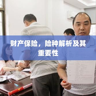 财产保险险种解析与重要性探讨-图1 财产保险险种解析与重要性探讨-图1