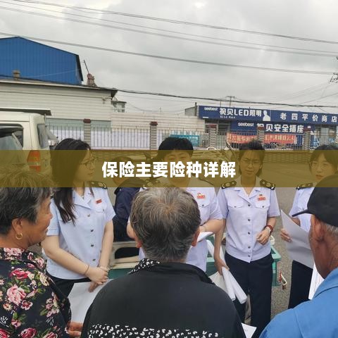保险主要险种详解概览-图1 保险主要险种详解概览-图1