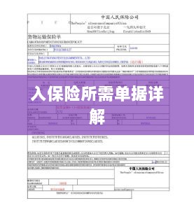 入保险必备单据解析-图1
