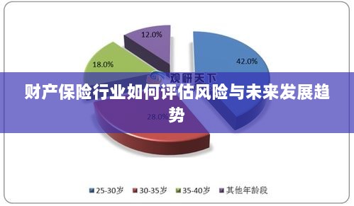 财产保险行业风险评估及未来发展趋势展望-图1