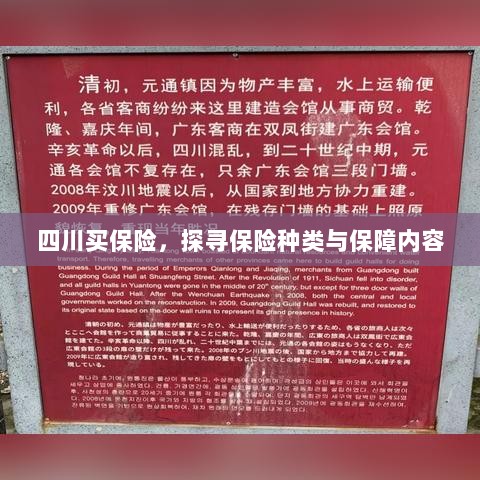 四川保险探秘，种类与保障内容全解析-图1