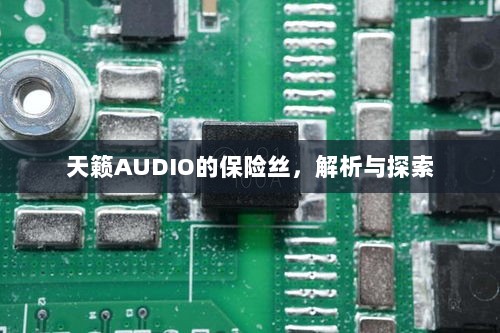 天籁AUDIO保险丝解析与探索-图1