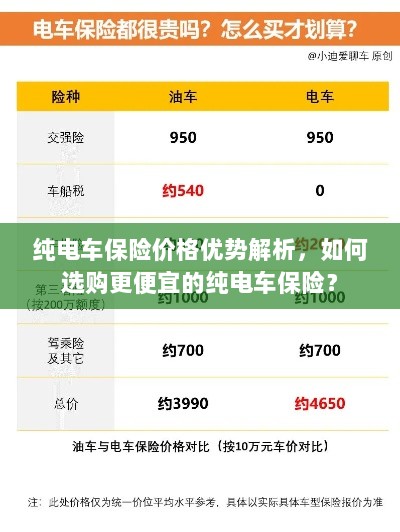 纯电车保险价格优势详解，如何选购更经济实惠的保险方案？-图1