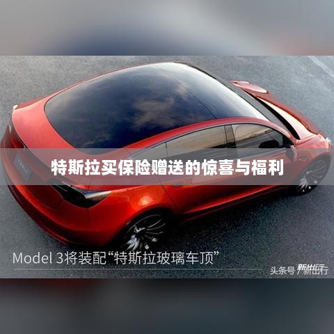 特斯拉保险购买赠品与惊喜福利概述-图1