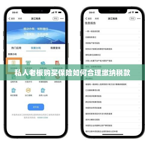私人老板购买保险如何合理缴税，策略与指南-图1