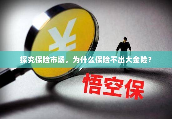 探究保险市场,为何缺乏大额保险金险种?-图1 探究保险市场,为何缺乏大额保险金险种?-图1