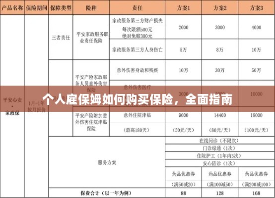个人雇保姆保险购买指南，全面解析与攻略-图1