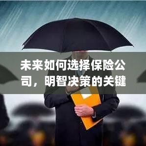未来如何选择保险公司，明智决策的关键要素概览-图1