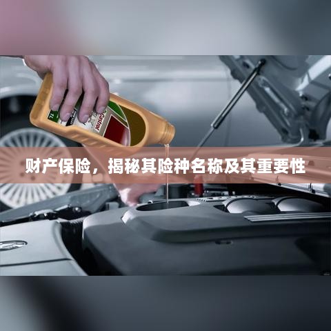 揭秘财产保险险种名称及其重要性，保障您的财产安全！-图1