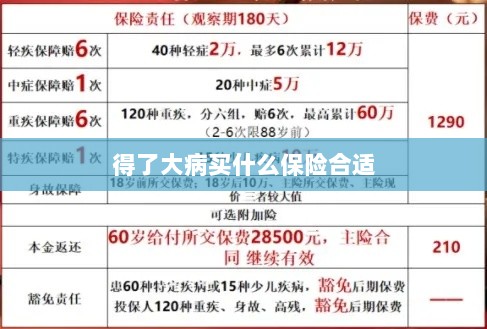 大病保险选择指南，如何选购合适的保险？-图1