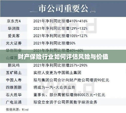 财产保险行业风险评估与价值评估方法解析-图1