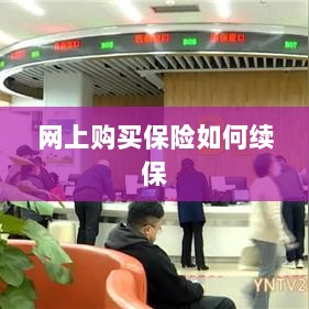 网上购买保险的续保指南-图1