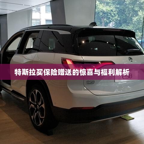 特斯拉保险赠品福利大解析，惊喜与优惠一网打尽！-图1