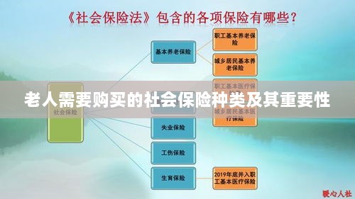 老人需购买的社会保险种类及其重要性概览-图1 老人需购买的社会保险种类及其重要性概览-图1