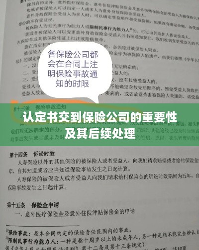 认定书交到保险公司的重要性及后续处理流程详解-图1 认定书交到保险公司的重要性及后续处理流程详解-图1
