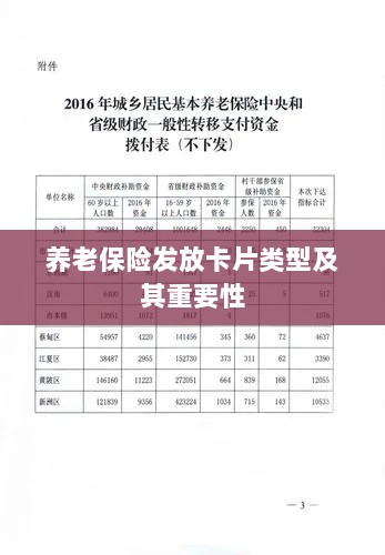 养老保险发放卡片类型概览及其重要性-图1 养老保险发放卡片类型概览及其重要性-图1