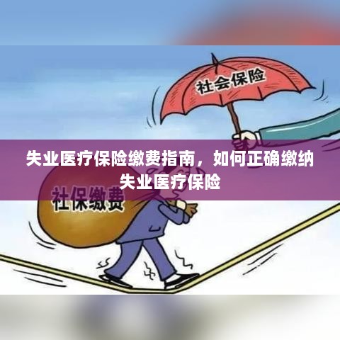 失业医疗保险缴费详解,正确缴纳失业医疗保险的步骤与指南-图1 失业医疗保险缴费详解,正确缴纳失业医疗保险的步骤与指南-图1
