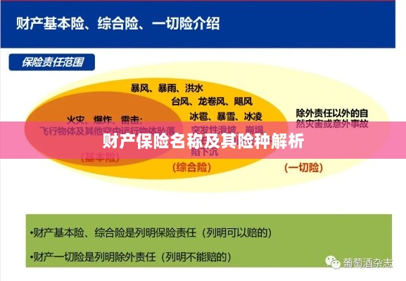 财产保险名称及其险种深度解析-图1
