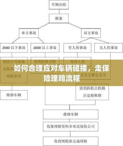 车辆碰撞应对指南,走保险理赔流程详解-图1 车辆碰撞应对指南,走保险理赔流程详解-图1