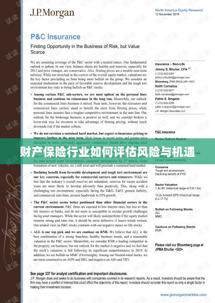 财产保险行业风险与机遇的评估策略-图1 财产保险行业风险与机遇的评估策略-图1