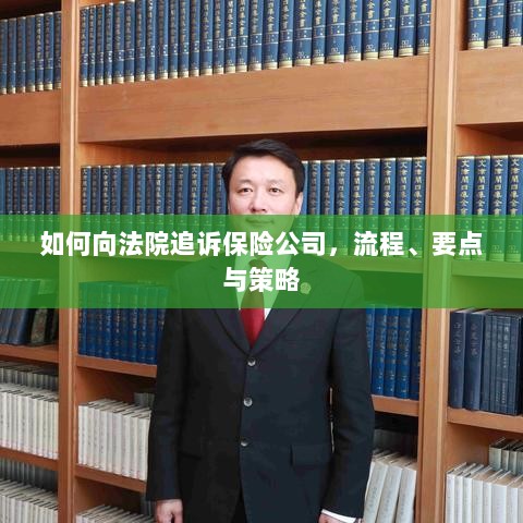 追诉保险公司指南，流程、要点与策略全解析-图1