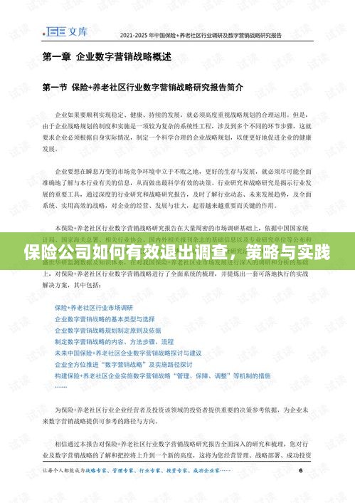 保险公司有效退出调查的策略与实践探讨-图1
