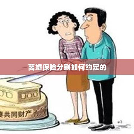 离婚保险分割约定详解-图1 离婚保险分割约定详解-图1