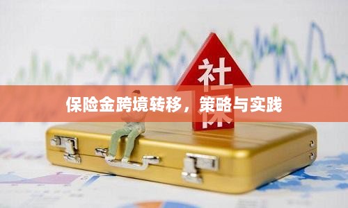 保险金跨境转移的策略与实践探讨-图1