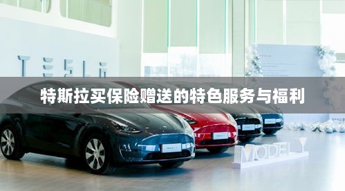 特斯拉保险特惠,独家特色服务与丰厚赠品等你来享-图1 特斯拉保险特惠,独家特色服务与丰厚赠品等你来享-图1