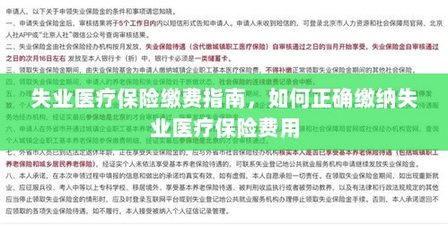 失业医疗保险缴费详解，如何正确缴纳费用指南-图1